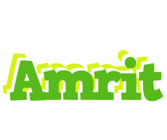 Amrit picnic logo