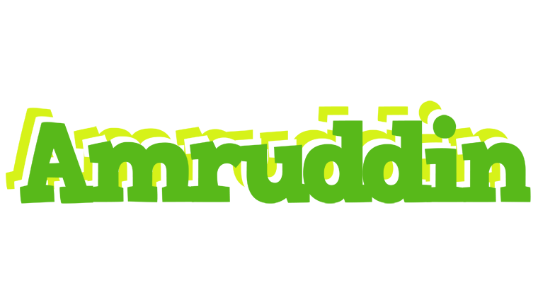 Amruddin picnic logo