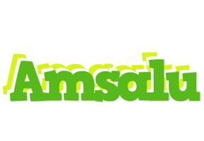 Amsalu picnic logo