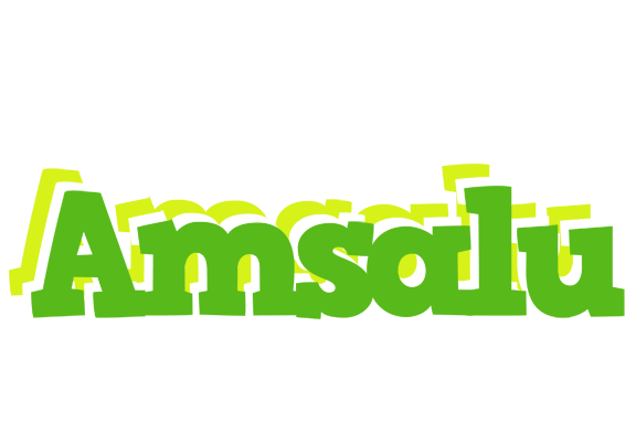 Amsalu picnic logo