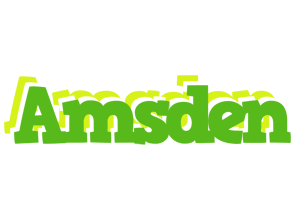 Amsden picnic logo