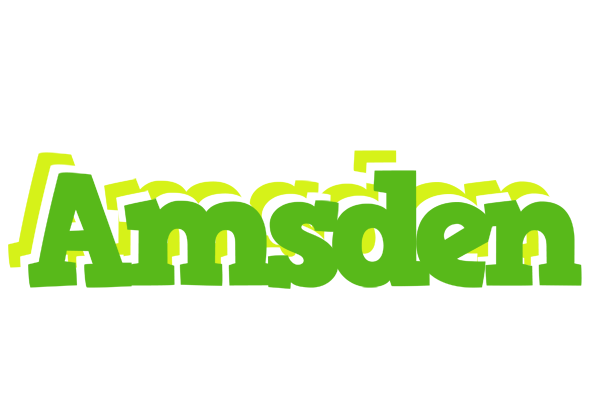 Amsden picnic logo
