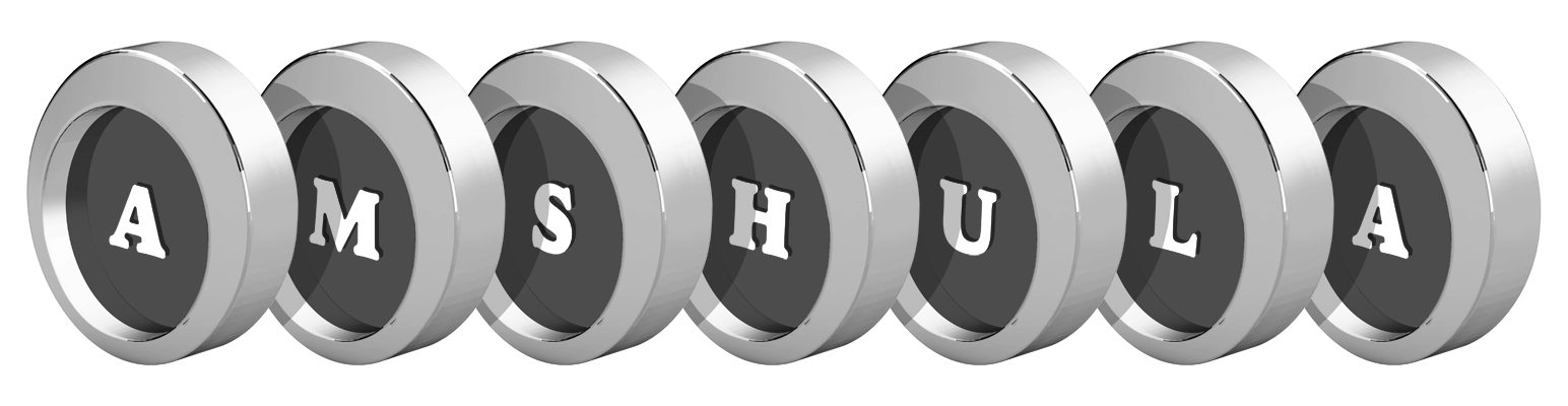 Amshula coins logo