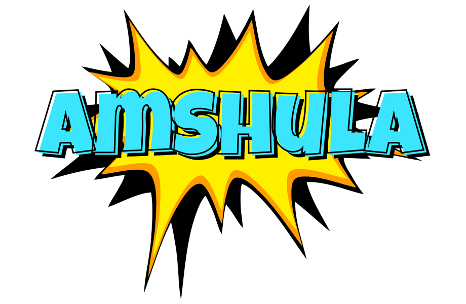Amshula indycar logo