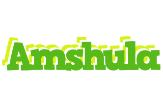Amshula picnic logo