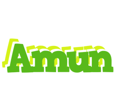 Amun picnic logo