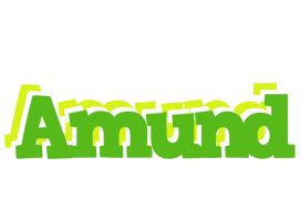 Amund picnic logo