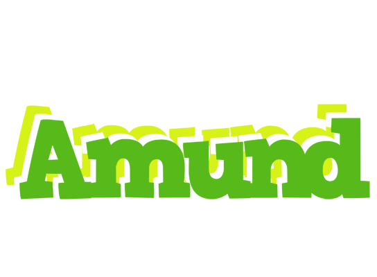 Amund picnic logo