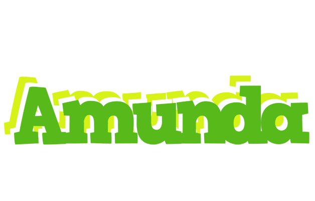 Amunda picnic logo