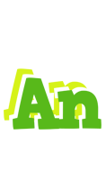 An picnic logo