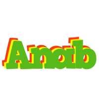 Anab crocodile logo