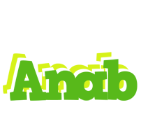 Anab picnic logo