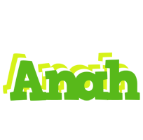 Anah picnic logo