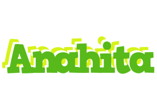 Anahita picnic logo