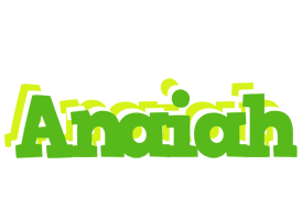 Anaiah picnic logo