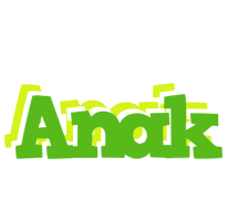 Anak picnic logo