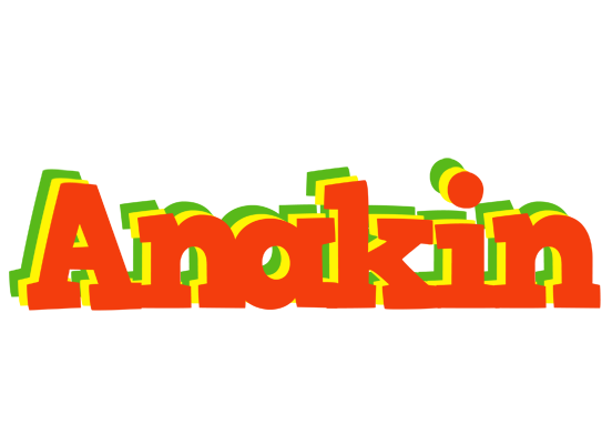 Anakin bbq logo