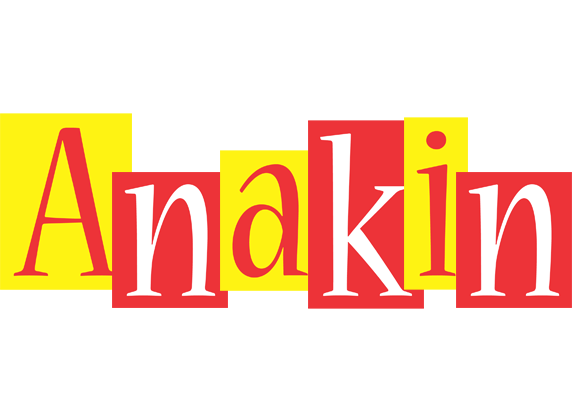 Anakin errors logo