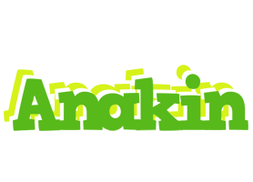 Anakin picnic logo