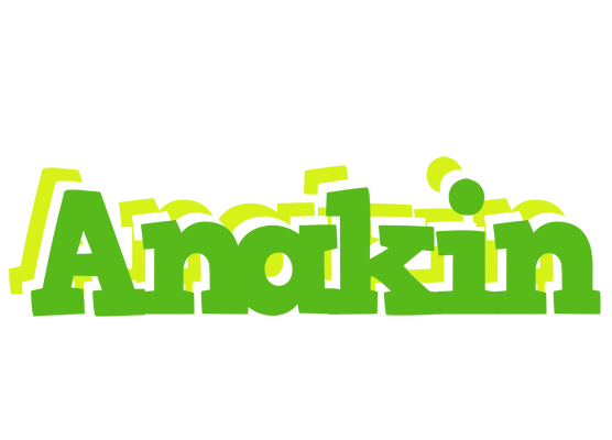 Anakin picnic logo