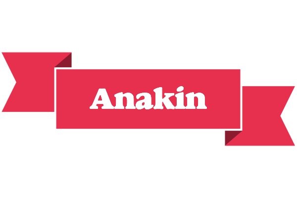 Anakin sale logo