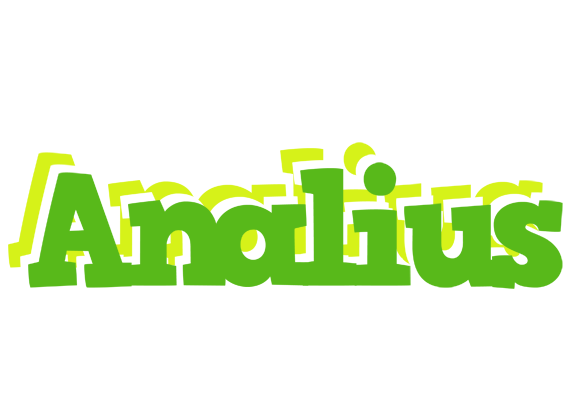Analius picnic logo