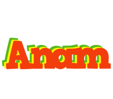 Anam bbq logo