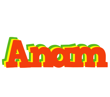 Anam bbq logo