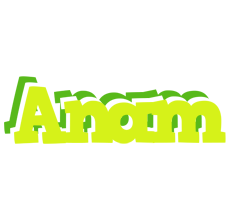 Anam citrus logo