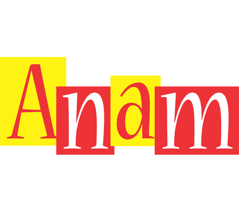 Anam errors logo