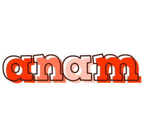 Anam paint logo