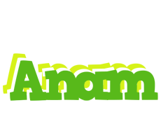 Anam picnic logo