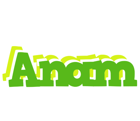 Anam picnic logo
