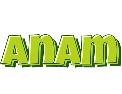 Anam summer logo