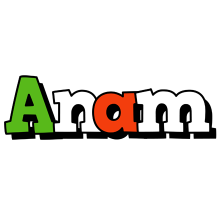 Anam venezia logo