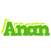 Anan picnic logo