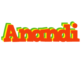 Anandi bbq logo