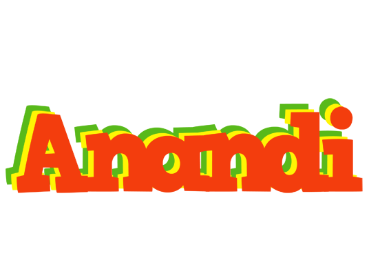 Anandi bbq logo