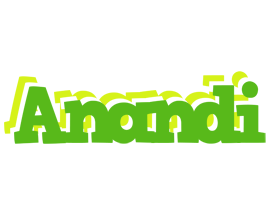 Anandi picnic logo