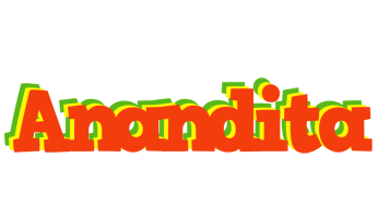 Anandita bbq logo