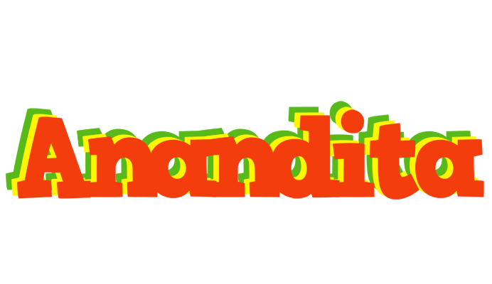 Anandita bbq logo