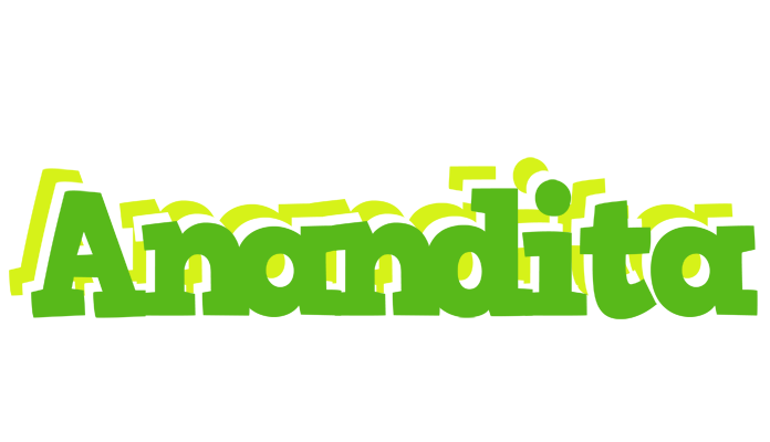 Anandita picnic logo