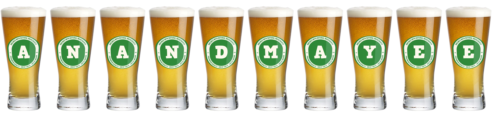 Anandmayee lager logo