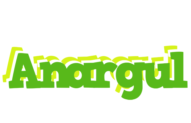 Anargul picnic logo