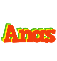 Anas bbq logo
