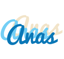 Anas breeze logo