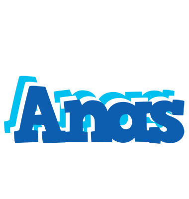 Anas business logo