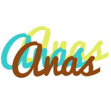 Anas cupcake logo