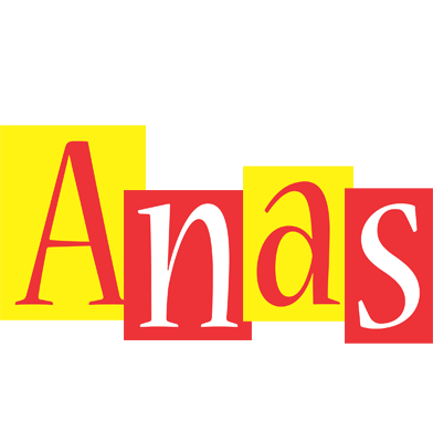 Anas errors logo