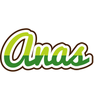 Anas golfing logo